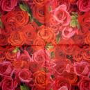 212 Rosen - 3-lagig